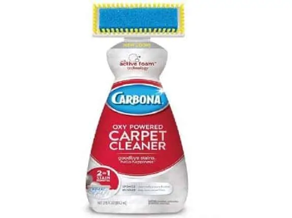 carpet cleaner