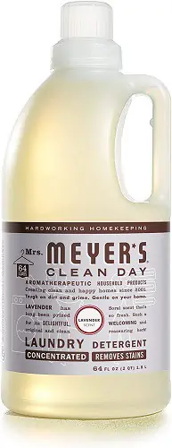 meyers clean day